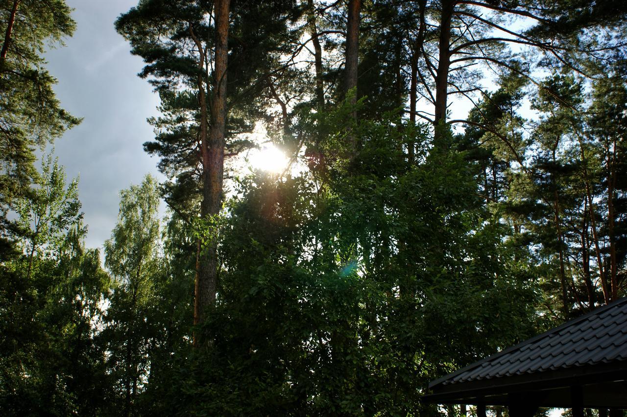 Vanaga Ligzda Baltezers Buitenkant foto